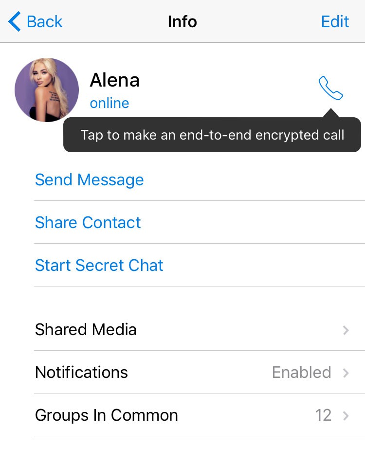 Telegram Messenger si rinnova per Android. Finalmente le chiamate vocali